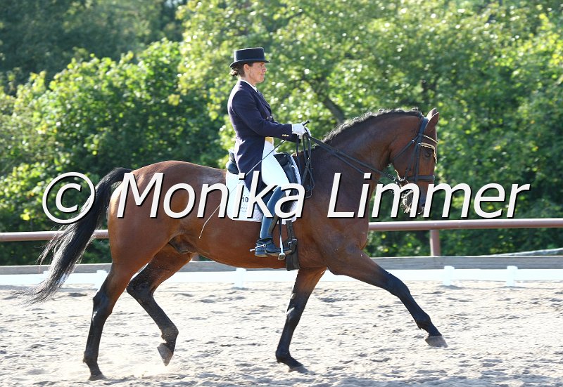 098L1941_Andrea Dlugos (2).jpg - Andrea Dlugos mit Lorenzo zur S Dressur Prix St. GeorgesFoto Monika Limmer